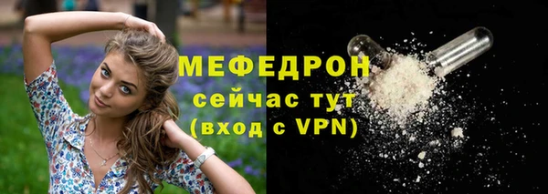 гидра Вяземский