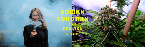 гидра Вяземский