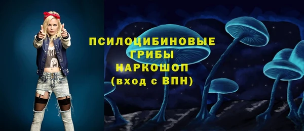 гидра Вяземский