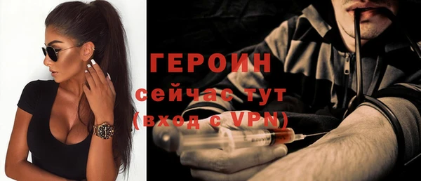 гидра Вяземский