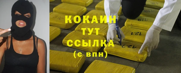 гидра Вяземский