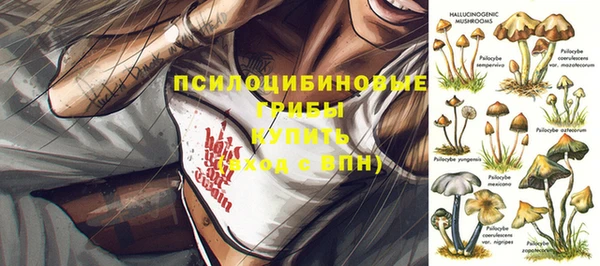 мет Слюдянка