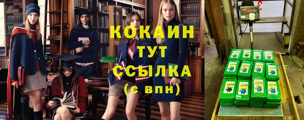 гидра Вяземский