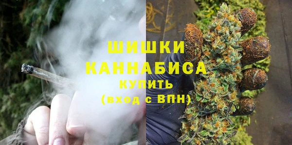ПСИЛОЦИБИНОВЫЕ ГРИБЫ Вязники