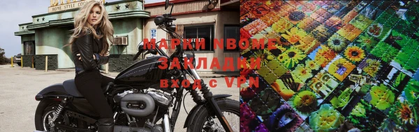 ПСИЛОЦИБИНОВЫЕ ГРИБЫ Вязники