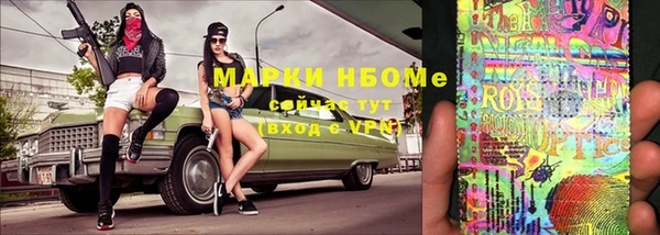 гидра Вяземский