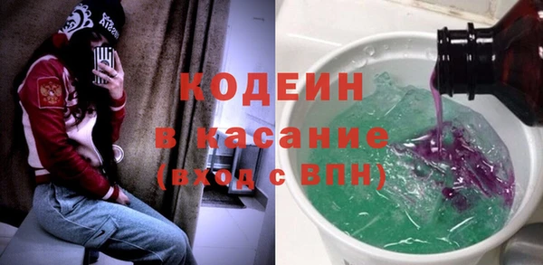 ПСИЛОЦИБИНОВЫЕ ГРИБЫ Вязники