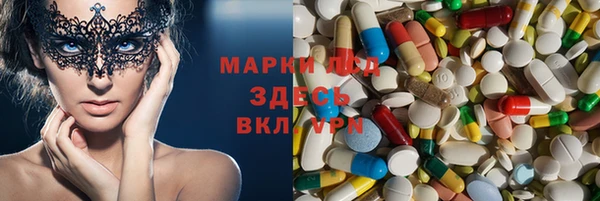 ПСИЛОЦИБИНОВЫЕ ГРИБЫ Вязники